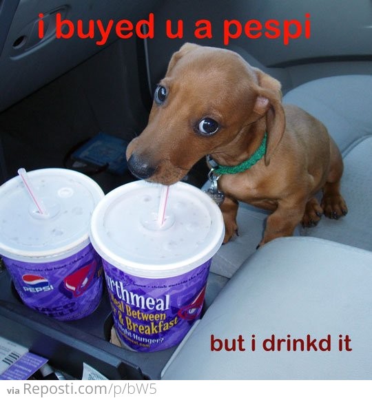 i buyd you a pepsi