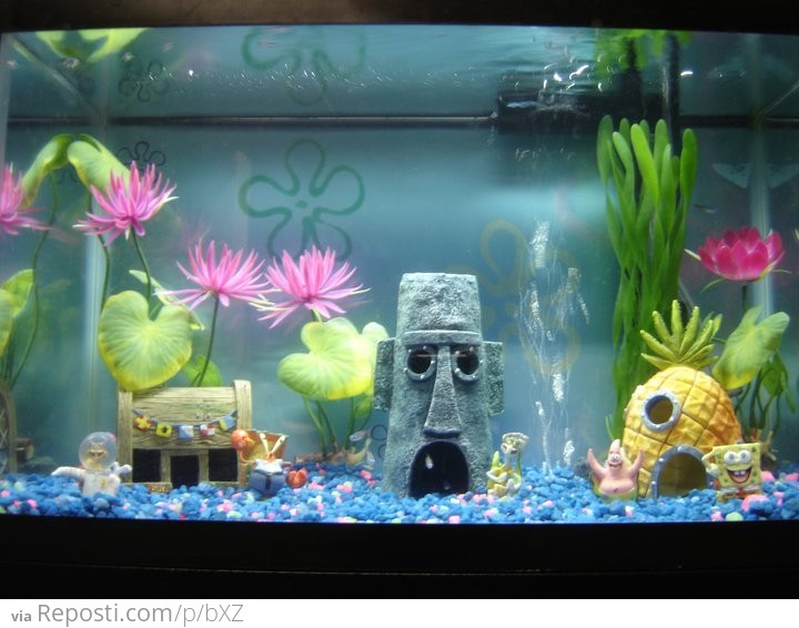 Spongebob Aquarium