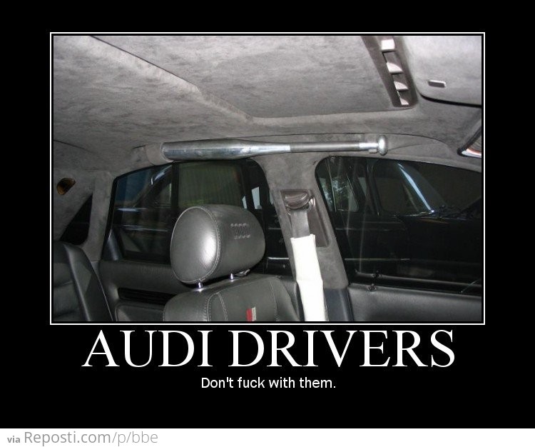 Audi Drivers