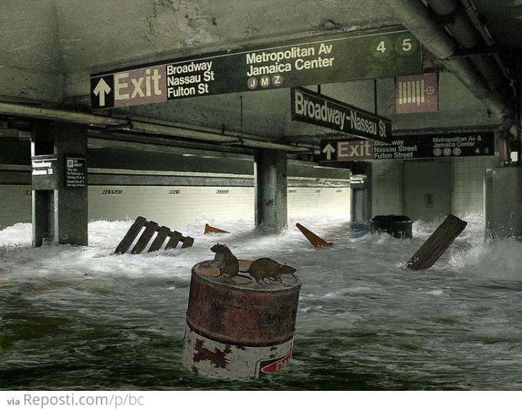Flooded Subway
