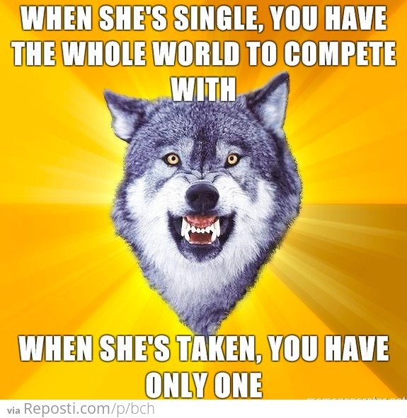 Courage Wolf On Dating