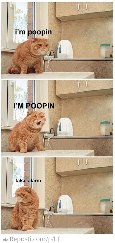 I'm Poopin'