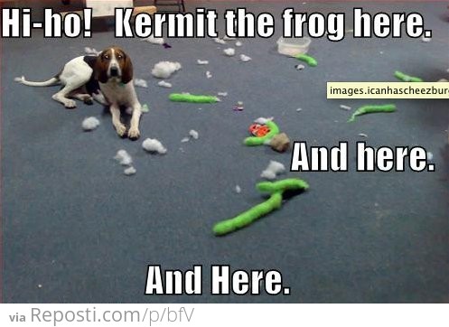 Hi-Ho! Kermit The Frog Here