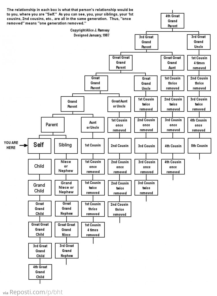 Family Relationship Chart