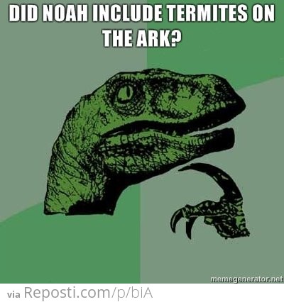 Noah's Termites