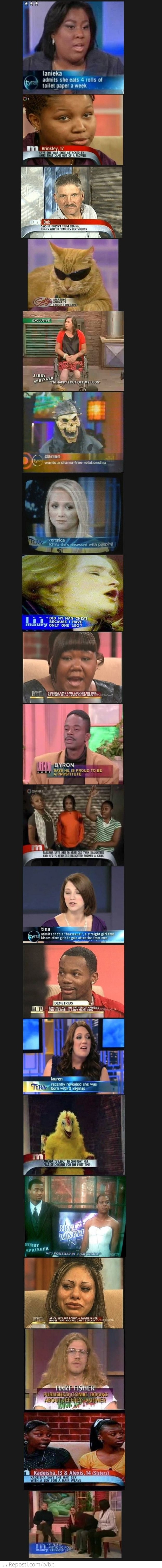 Daytime Talk Shows Are Awesome