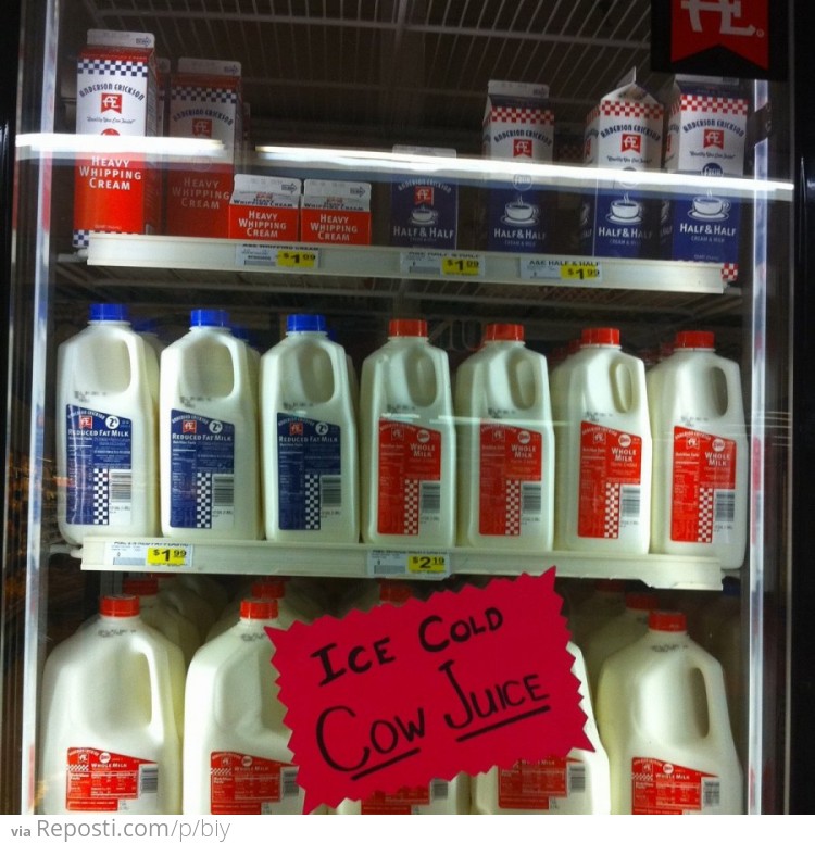 Ice Cold Cow Juice
