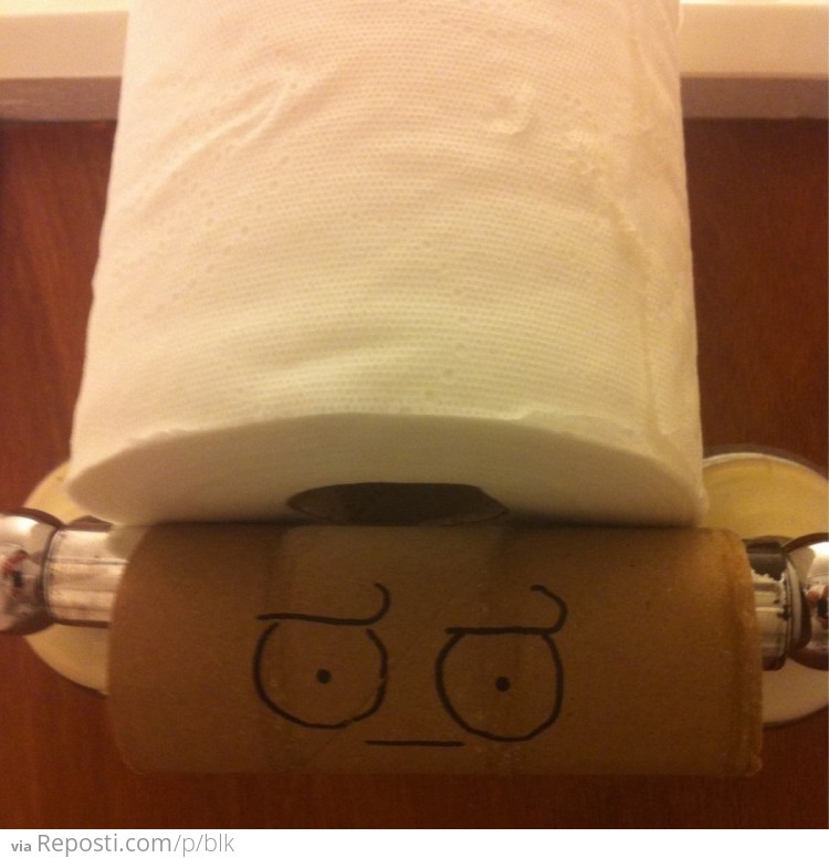 Change The Toilet Paper Roll