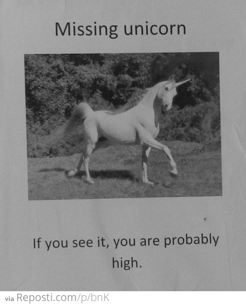 Missing Unicorn