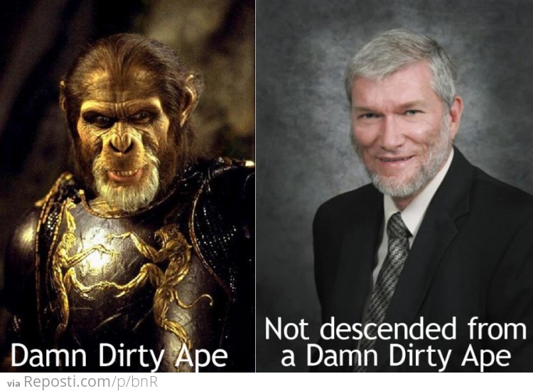 Damn Dirty Ape