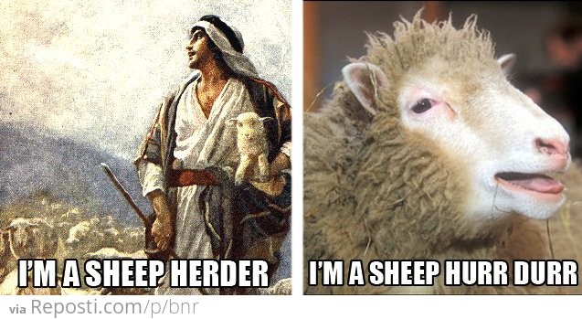 I'm A Sheep Herder