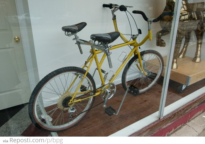 Sociable Bicycle