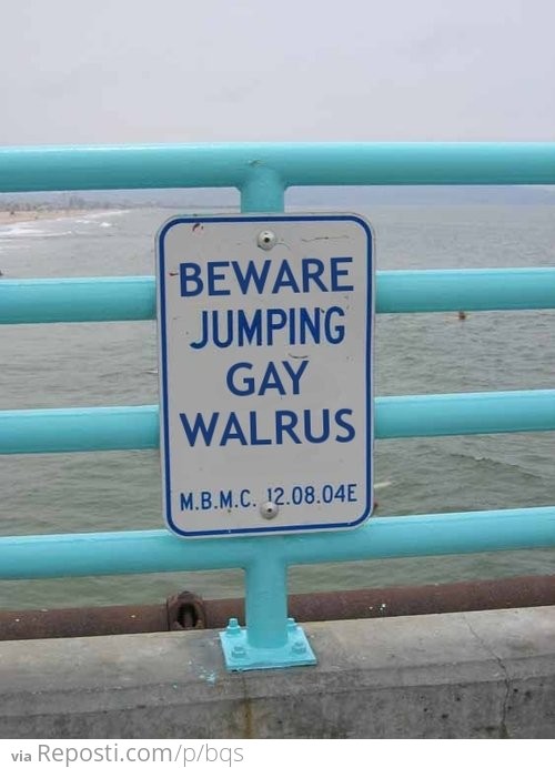 Beware Jumping Gay Walrus