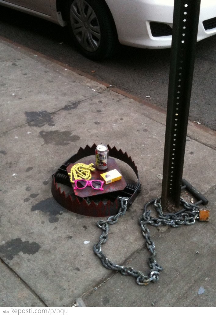 Hipster Trap