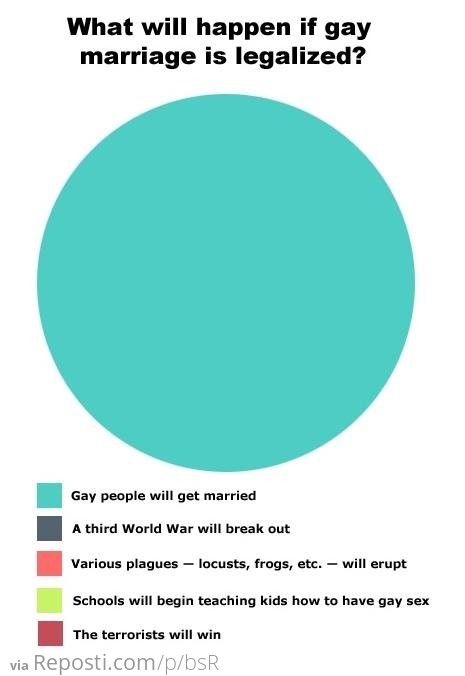 What would happen if gay marriage was legalized
