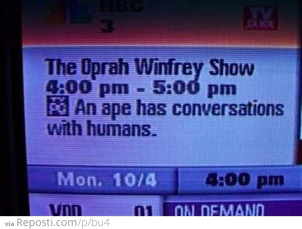 Racist TV guide