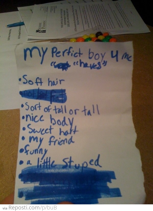 Perfect boy attributes according to a 4 year old