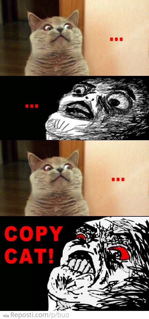 Copy cat!