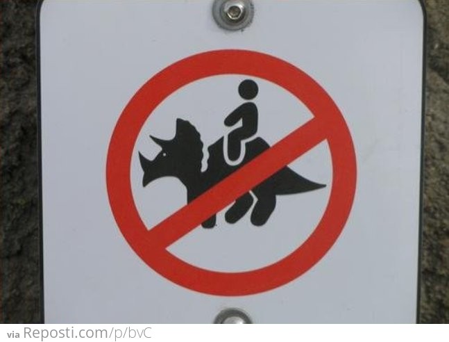 Riding Triceratops is strictly prohibited
