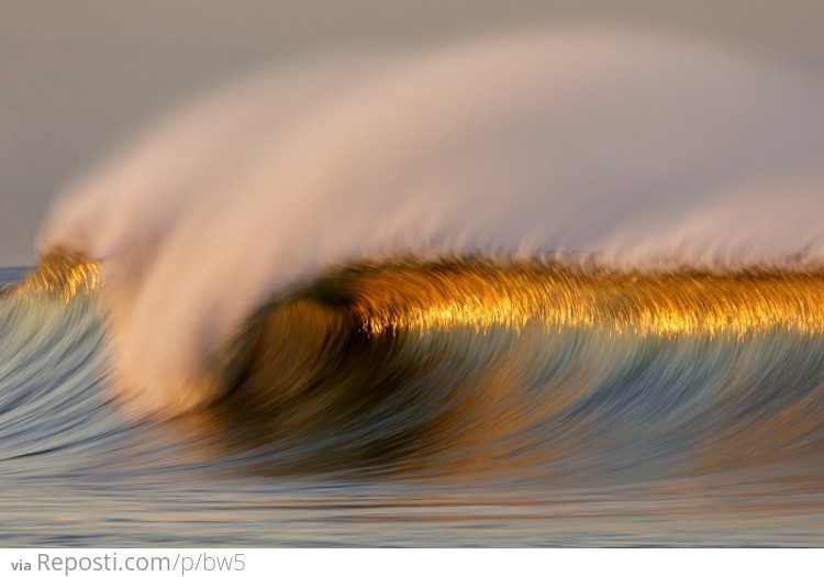 Awesome wave