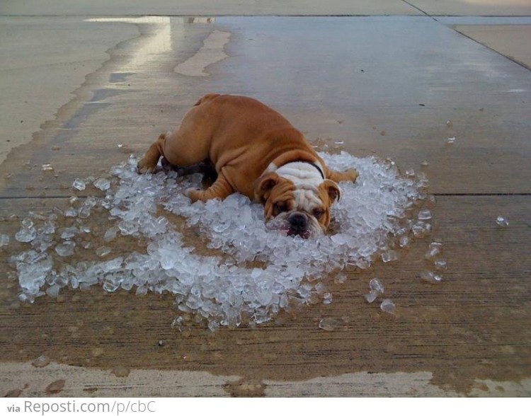 Cooling Down