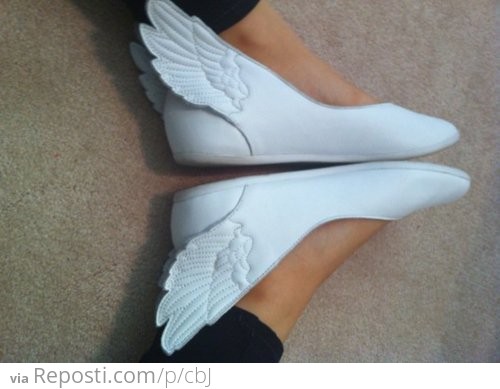 Pegasus Shoes