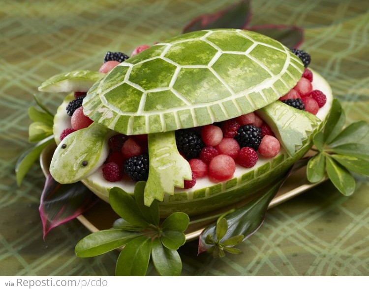 Turtle Fruit