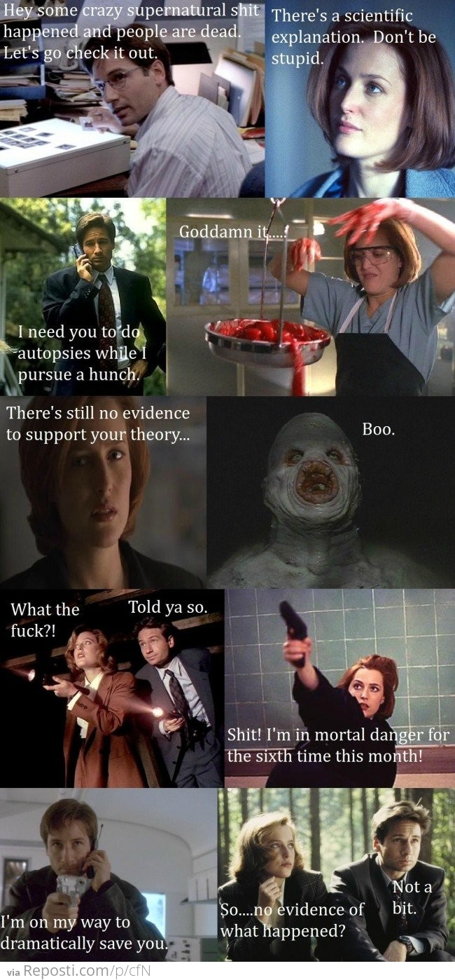 The X Files summed up