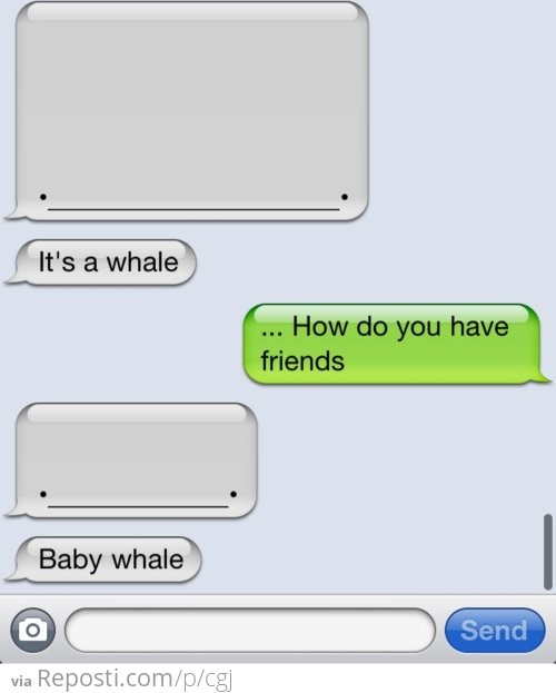 Chat Whales