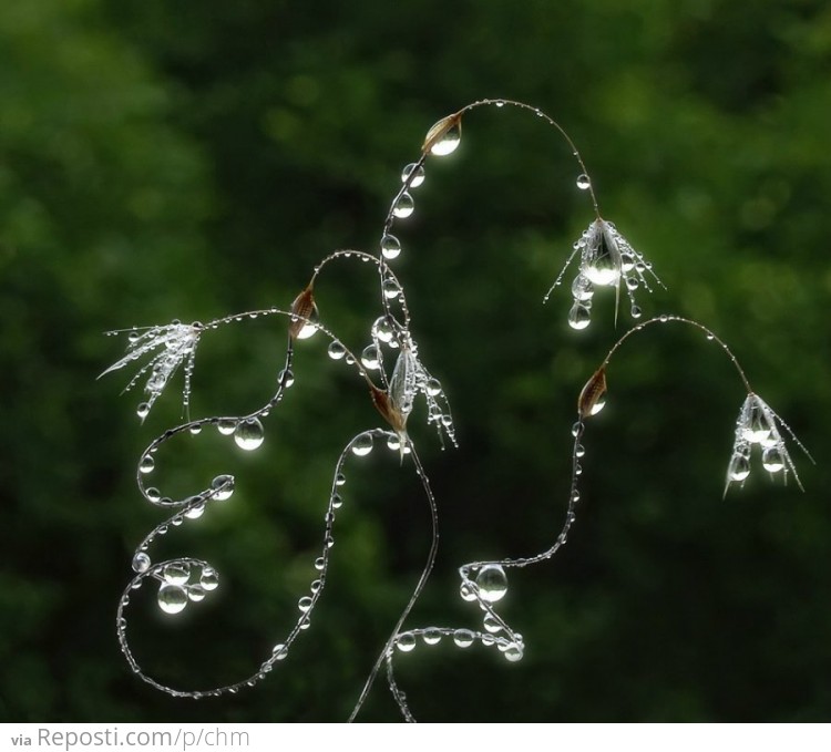 Beautiful droplets