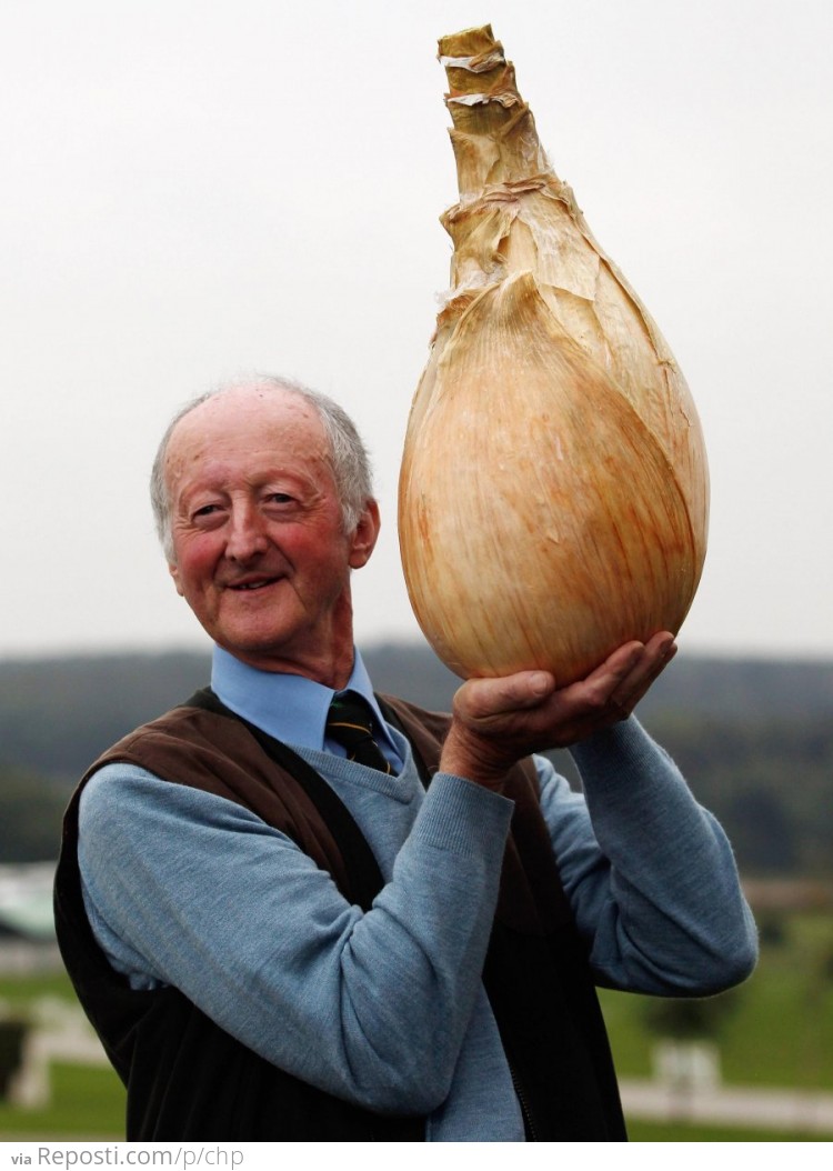 World's biggest onion