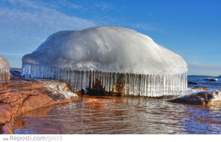 Frozen Jelly Fish?