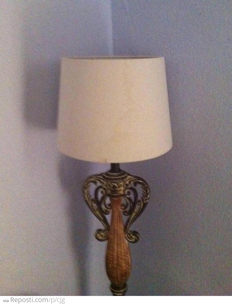 Don't judge me, lamp.