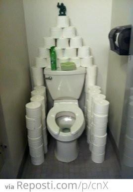 Toilet Paper Throne