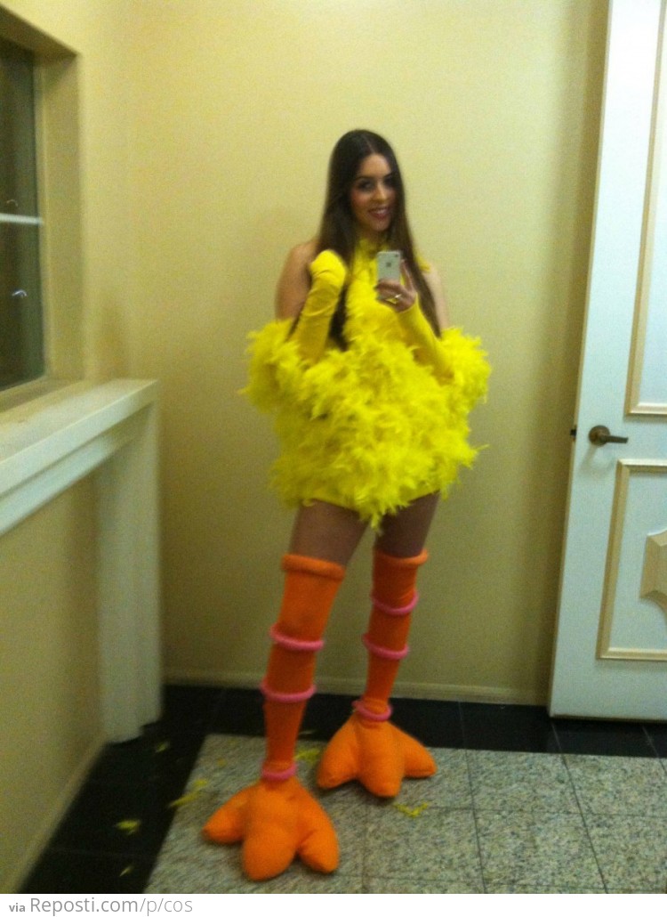 Sexy Big Bird Costume