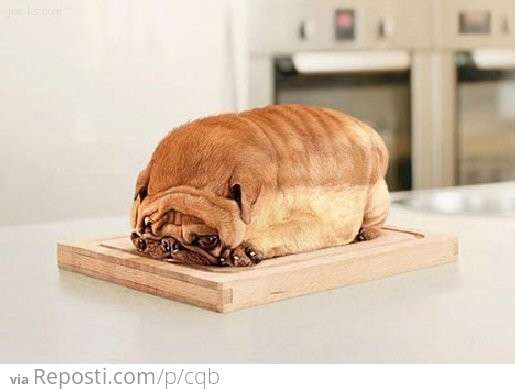 Dog Loaf