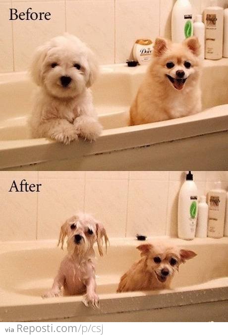 Before / After