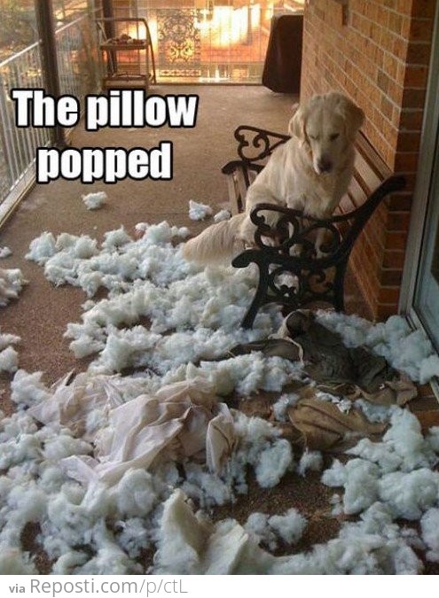 The Pillow Popped