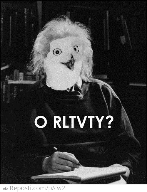 Owlbert Einstein