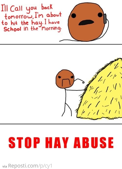 Hitting The Hay