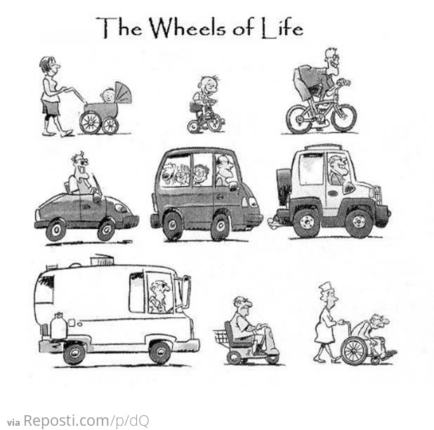 Wheels of Life