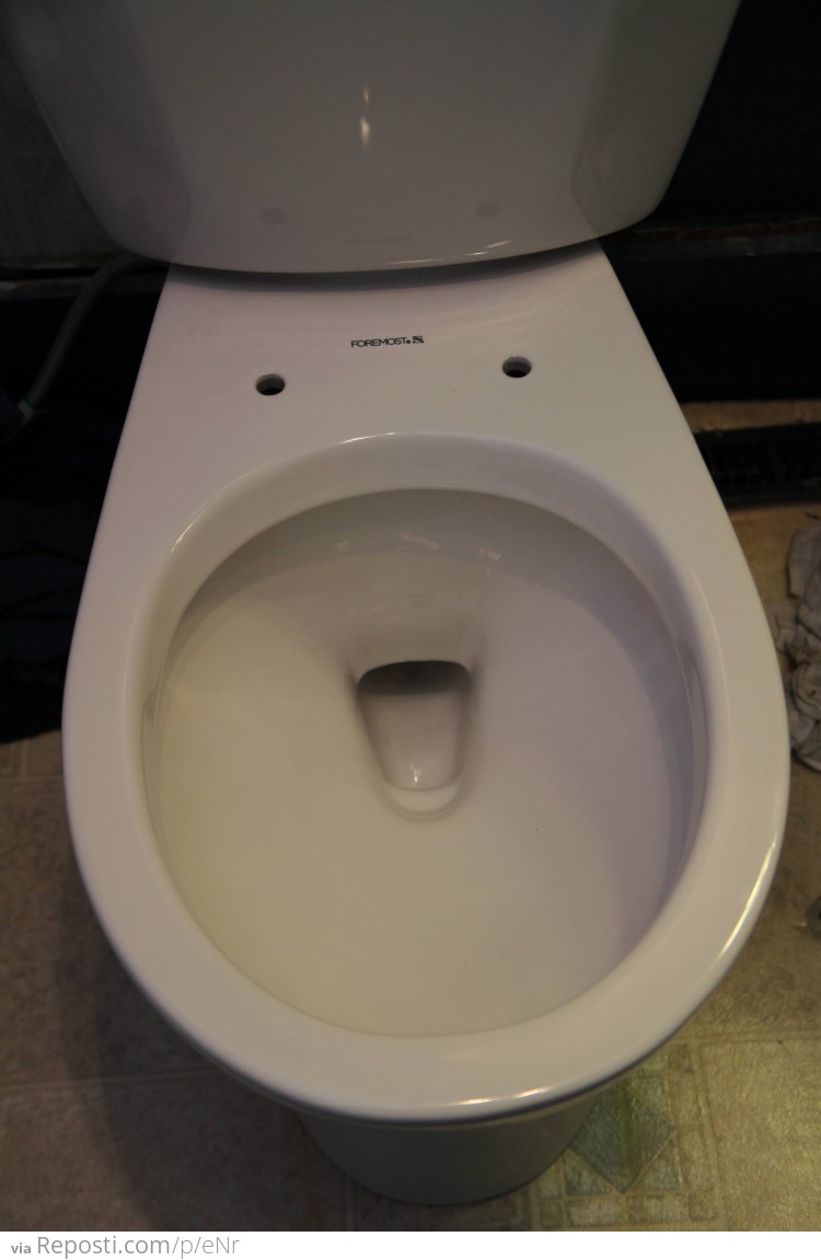 This toilet was very excited to be installed today