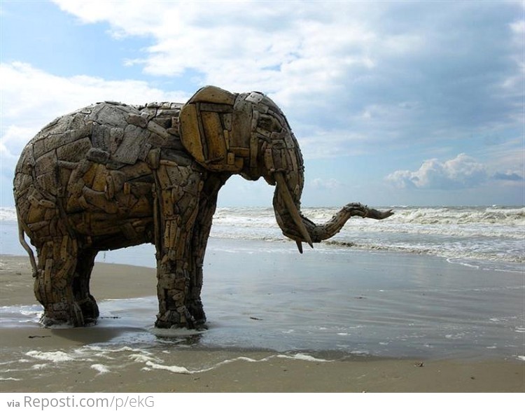 Driftwood Elephant