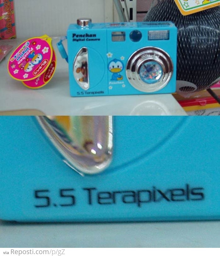 Five TeraPixel Camera