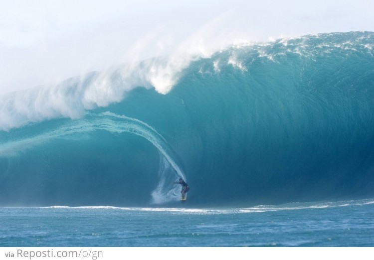 Insane Surfing