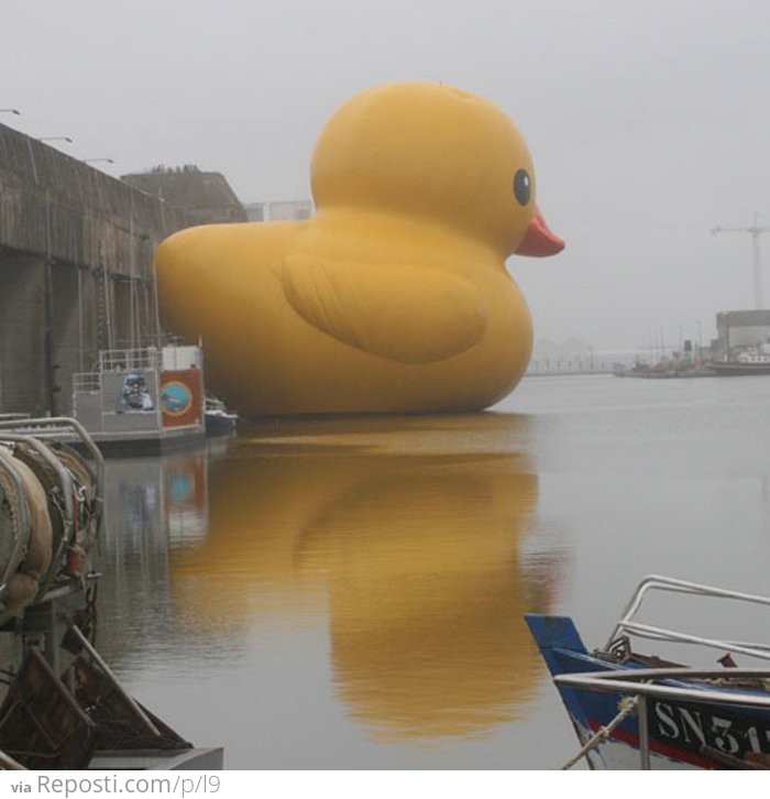 Huge Rubber Ducky