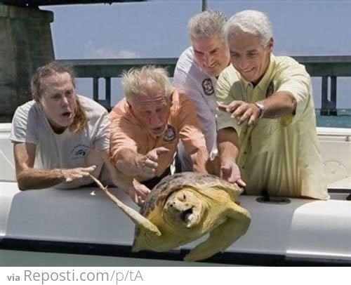 Old Men Throwing a Turtle