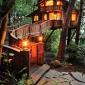 Amazing Tree House