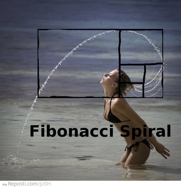 Fibonacci Spiral