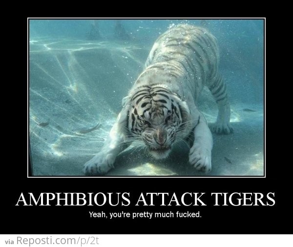Amphibious Attack Tigers